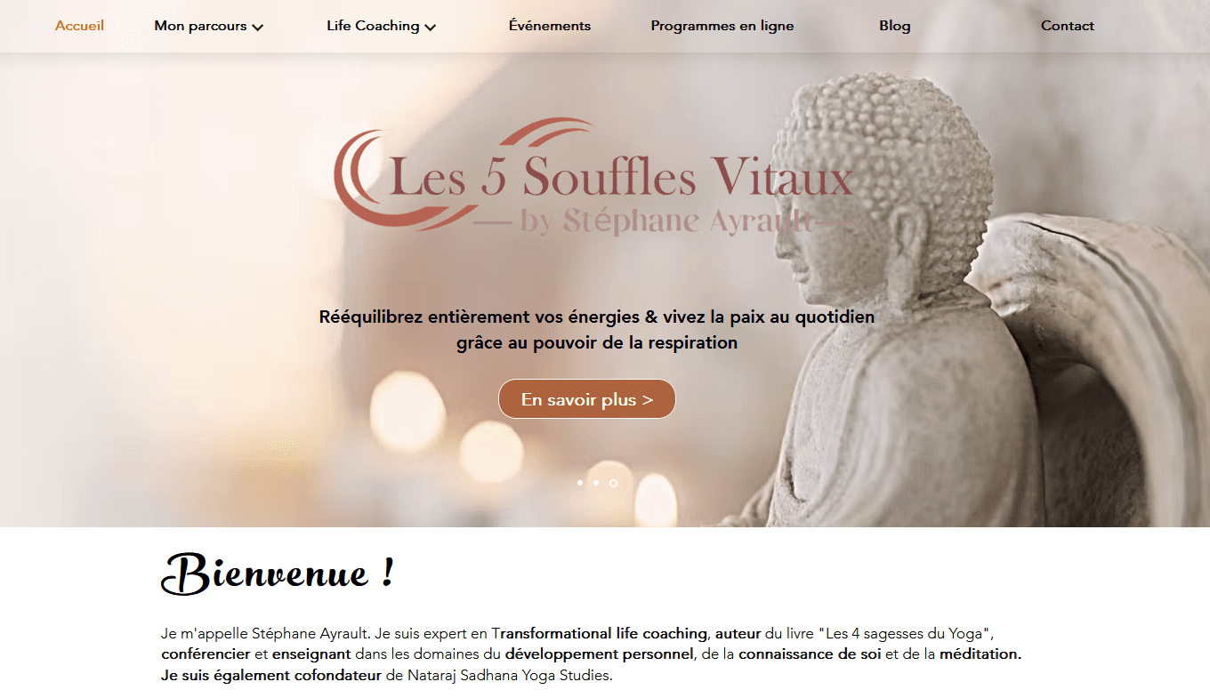 Stéphane Ayrault Portfolio Website